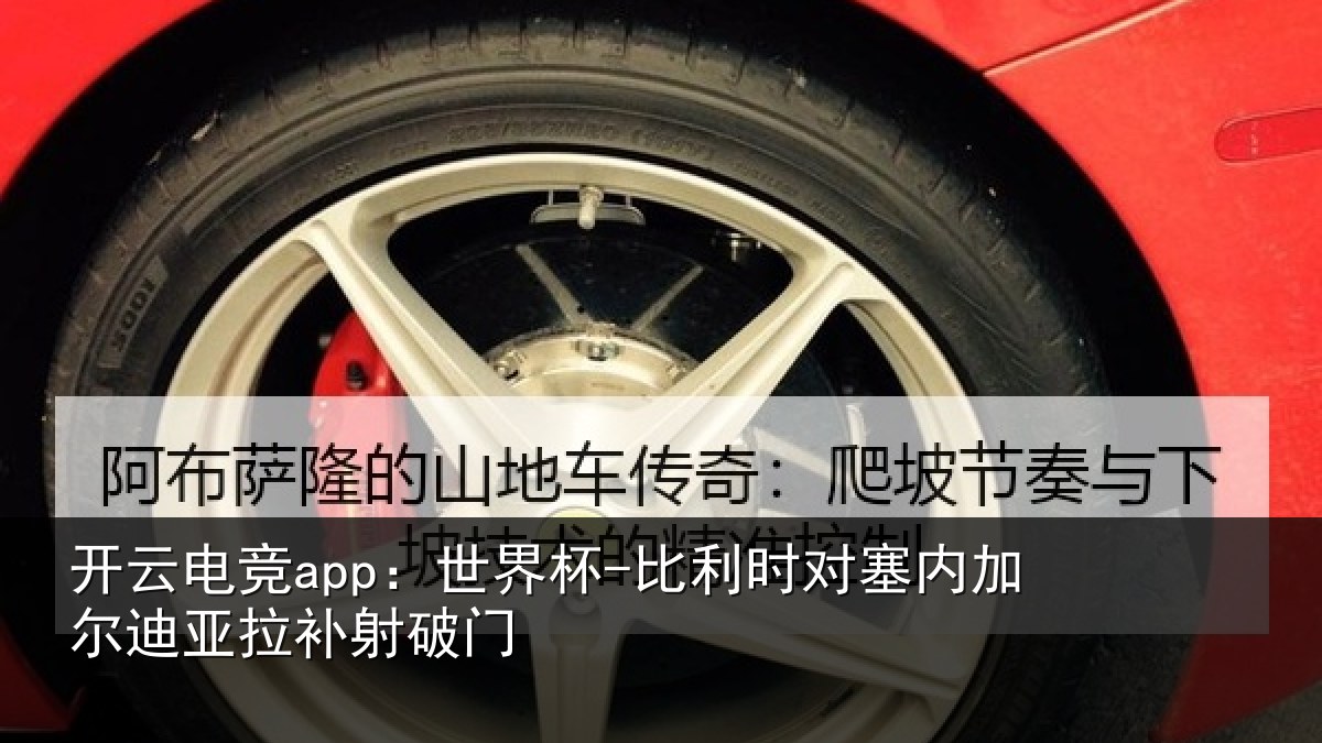 开云电竞app:世界杯-比利时对塞内加尔迪亚拉补射破门