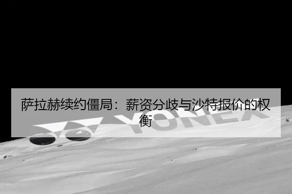 sa-la-he-xu-yue-jiang-ju-xin-zi-fen-qi-yu-sha-te-bao-jia-de-quan-heng-2-218.jpg