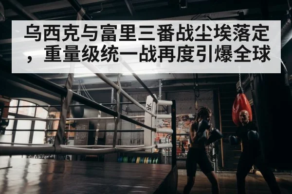 boxer training