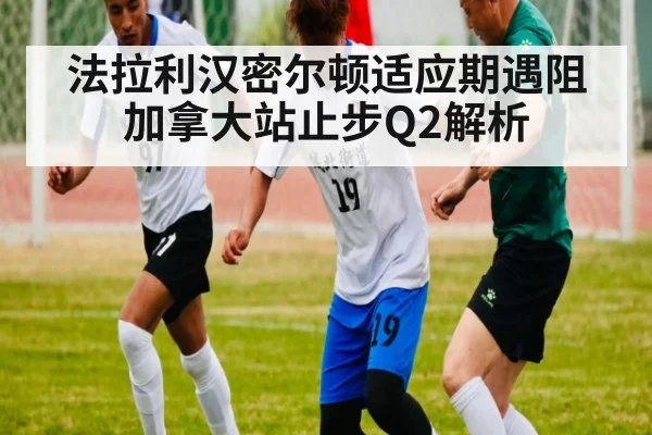 法拉利汉密尔顿适应期遇阻 加拿大站止步Q2解析