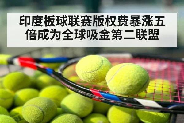 印度板球联赛版权费暴涨五倍成为全球吸金第二联盟